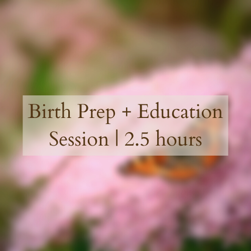 Birth Prep & Education Session | 2.5 hours