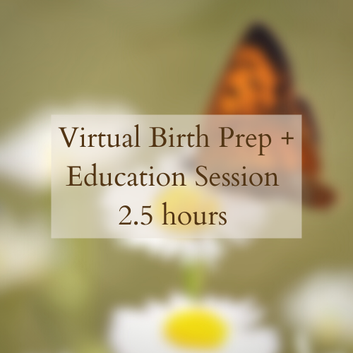 Virtual Birth Prep & Education Session | 2.5 hours