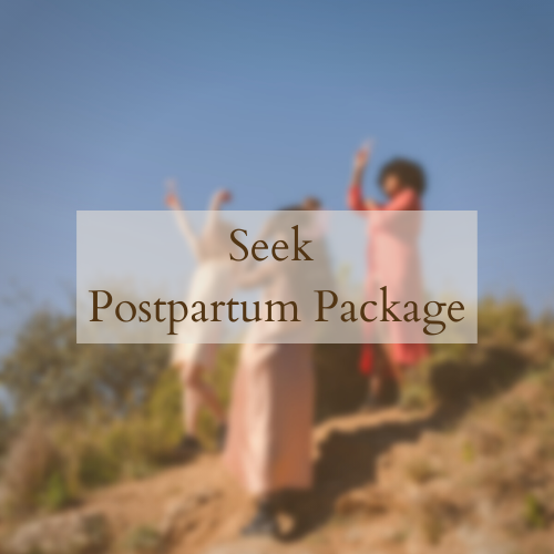 Seek | Postpartum Package