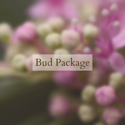 Bud Package